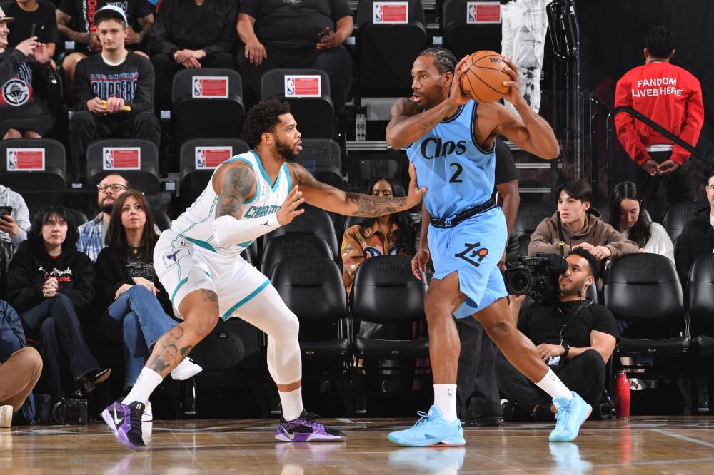 决定从根本 决定从根本